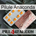 Anaconda Pill new13